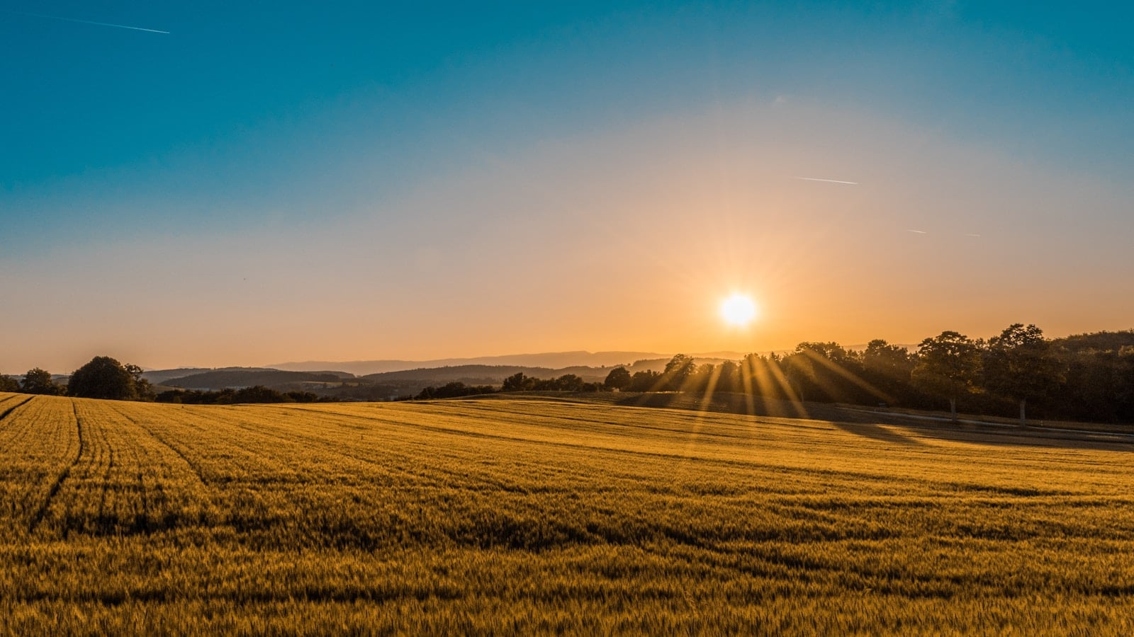 farm insurance sacramento