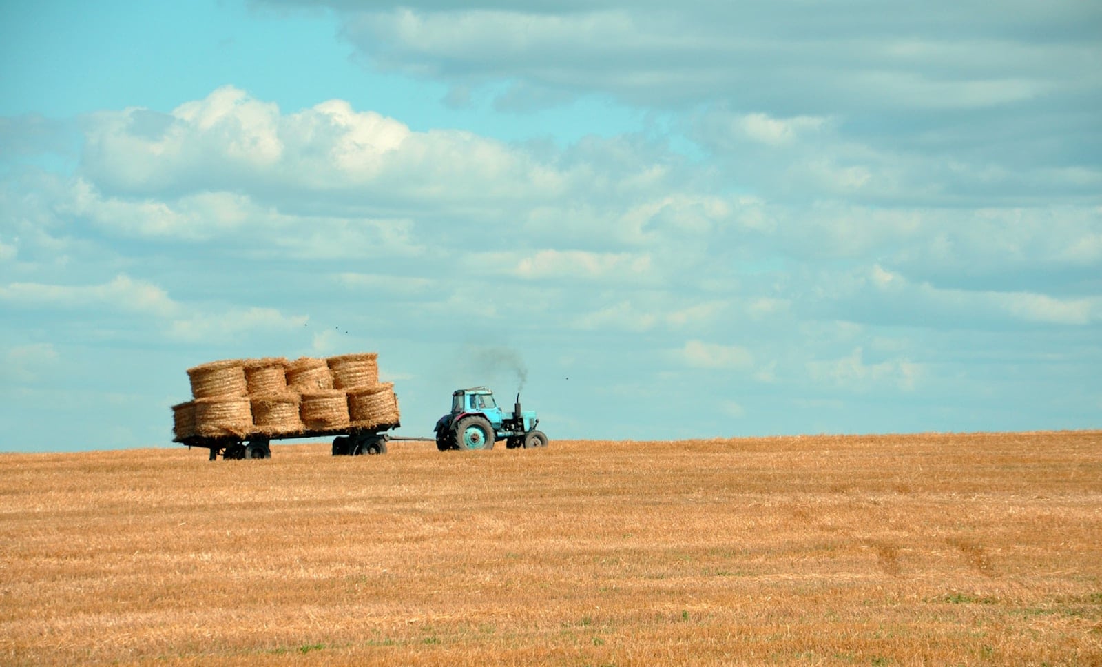 Farm insurance sacramento